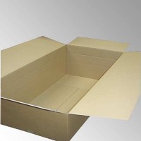 DHL Karton 1200x600x600mm 2.30EB F0201 