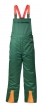 FICHTE - Schnittschutzlatzhose, grün, EN 381-*2+5, Wasser-Öl-Schmutzabweisend 