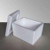 Styropor Box 285 x 285 x 315 mm - 10,08 Liter 